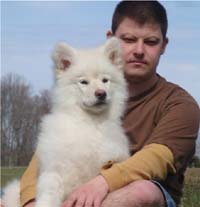 Hudson's Malamutes - Alex with Hudsons Alaskan Malamute puppies