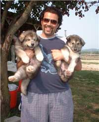 Hudson's Malamutes - Robbie Davis (Tooter) with Hudson's puppies at the movie Sparkle and Tooter