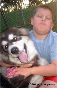 Hudons Malamutes - Alex with Bryn