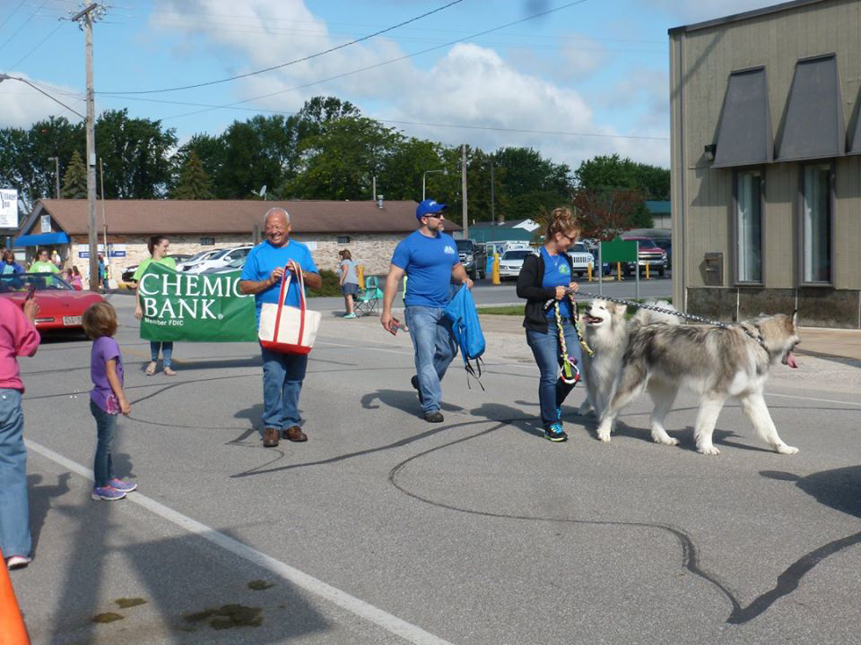 Hudsons Malamutes - Alpha