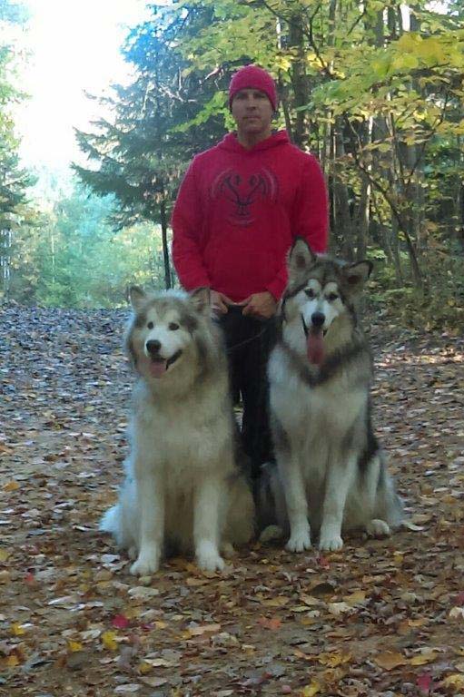 Hudsons Malamutes - Alpha