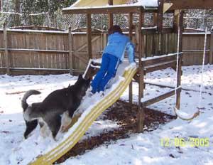 Hudons Malamutes -   Casey &Daulton