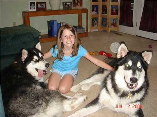 Hudons Malamutes -  Casey & Daulton