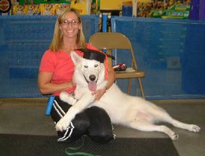 Hudons Malamutes - Duke