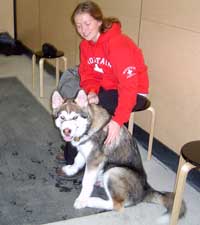 Hudsons Malamutes - Mikou - Puppy Kindergarten graduate