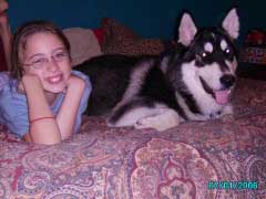 Hudons Malamutes - Panda