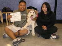 Hudsons Malamutes - Raiden - Puppy Kindergarten graduate