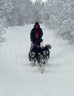 Hudsons Malamutes - Tawnie