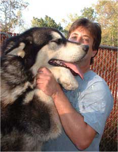 Hudsons Malamutes - The Boys Thumper - Having Fun