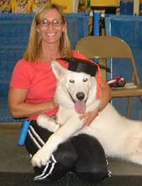 Hudsons Malamutes - Duke Puppy Kindergarten Graduate